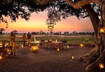 How much is a safari trip in Tanzania? How much is a safari trip in Tanzania?