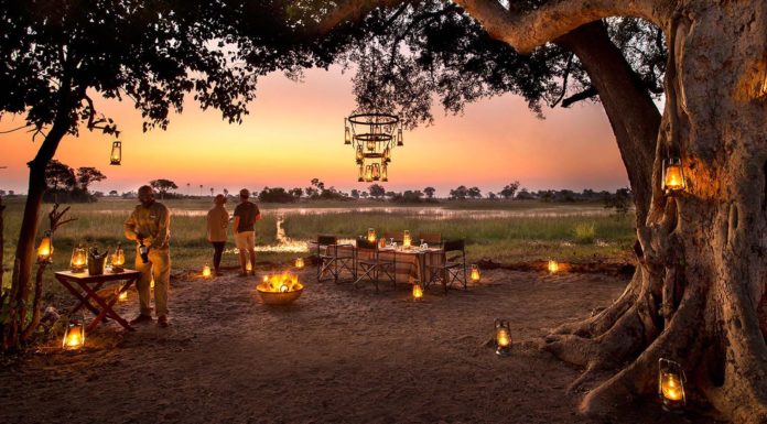 How much is a safari trip in Tanzania? How much is a safari trip in Tanzania?