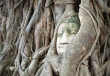 How much is a trip to Verona? How much is a trip to Verona?