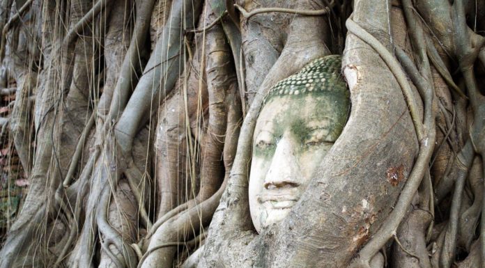 How much is a trip to Verona? How much is a trip to Verona?