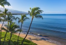 How much is the average trip to Hawaii? How much is the average trip to Hawaii?