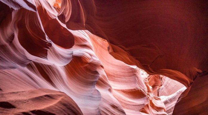 How much is the ticket for Lower Antelope Canyon? How much is the ticket for Lower Antelope Canyon?