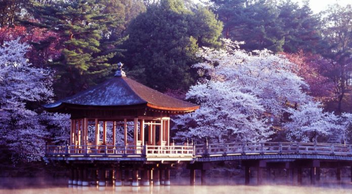 How much money do I need for 2 weeks in Japan? How much money do I need for 2 weeks in Japan?