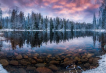 How much of Finland is nature? How much of Finland is nature?
