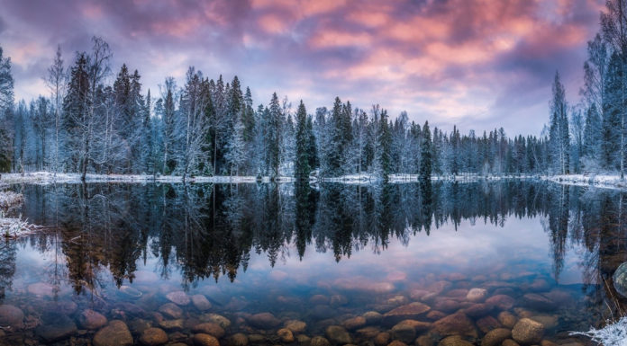 How much of Finland is nature? How much of Finland is nature?