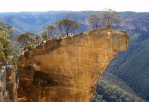 How much of New South Wales is national park? How much of New South Wales is national park?