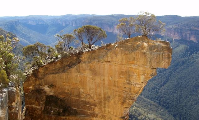 How much of New South Wales is national park? How much of New South Wales is national park?