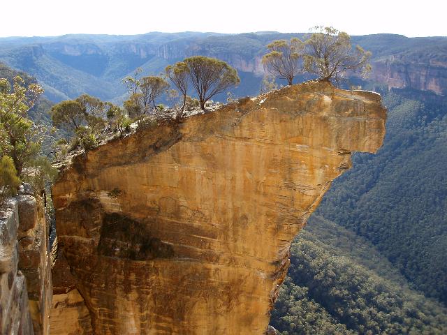 How much of New South Wales is national park?