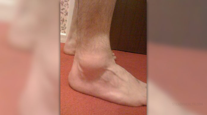 How much time do you need in Nara? How much time do you need in Nara?