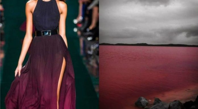 How should I dress for SeaWorld? How should I dress for SeaWorld?