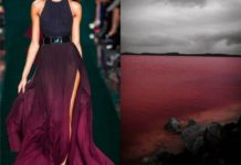 How should I dress for SeaWorld? How should I dress for SeaWorld?