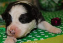 Is 2 days enough to see Rome? Is 2 days enough to see Rome?