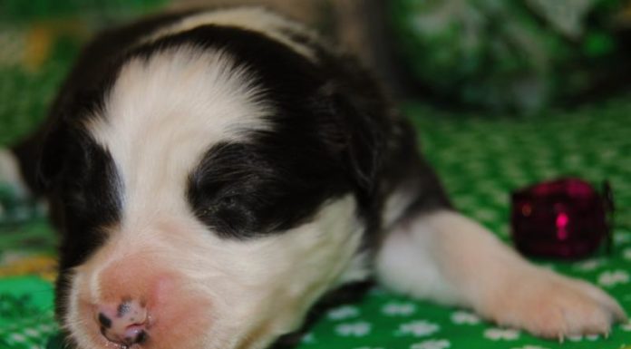 Is 2 days enough to see Rome? Is 2 days enough to see Rome?