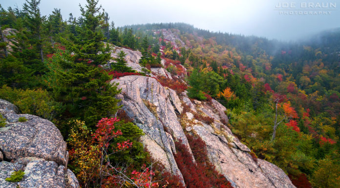 Is Acadia National Park toddler friendly? Is Acadia National Park toddler friendly?