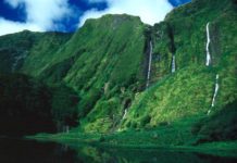 Is Alcatraz worth visiting? Is Alcatraz worth visiting?