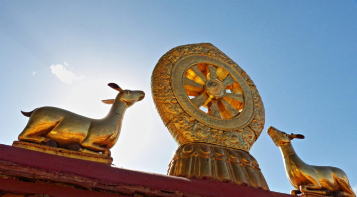 Is Buddhism a humanist? Is Buddhism a humanist?