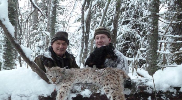 Is Bulgaria richer than Russia? Is Bulgaria richer than Russia?