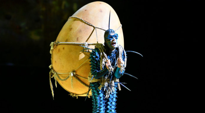 Is Cirque du Soleil worth the money? Is Cirque du Soleil worth the money?