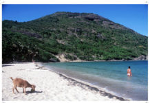 Is Cook Islands a tax haven? Is Cook Islands a tax haven?