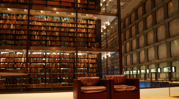 Is Copenhagen English friendly? Is Copenhagen English friendly?