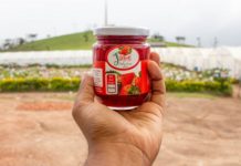Is Ella better than Nuwara Eliya? Is Ella better than Nuwara Eliya?