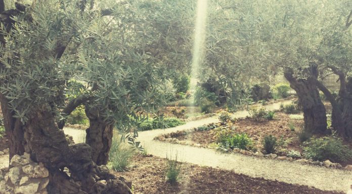 Is Fiji better than Hawaii? Is Fiji better than Hawaii?