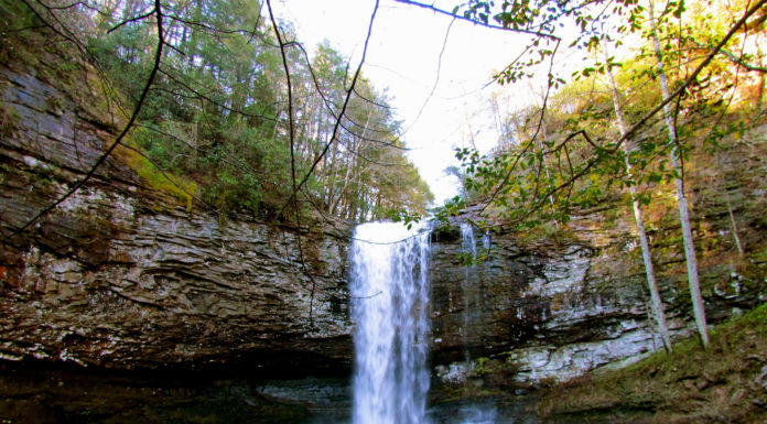 Is Florida good for hiking? Is Florida good for hiking?