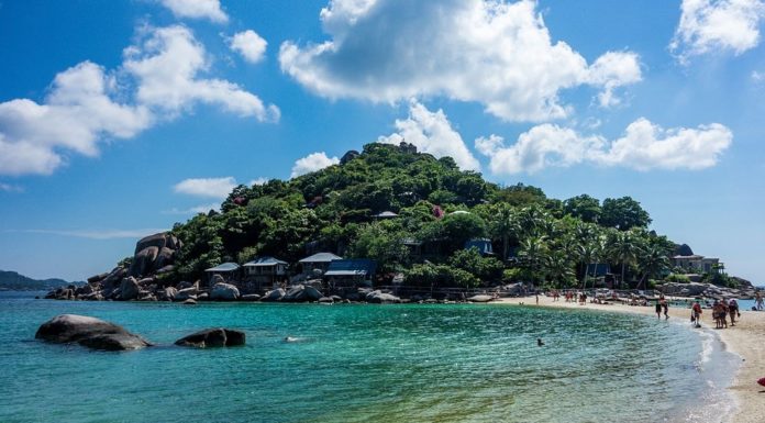 Is Koh Tao good for diving? Is Koh Tao good for diving?