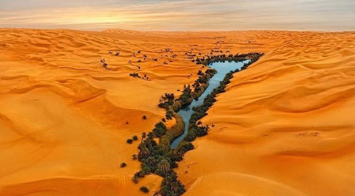 Is Lake Gregory water Safe? Is Lake Gregory water Safe?