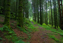 Is Lithuania a nice place to live? Is Lithuania a nice place to live?