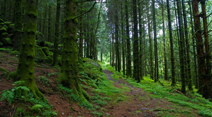 Is Lithuania a nice place to live? Is Lithuania a nice place to live?