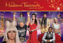 Is Madame Tussauds privately owned? Is Madame Tussauds privately owned?