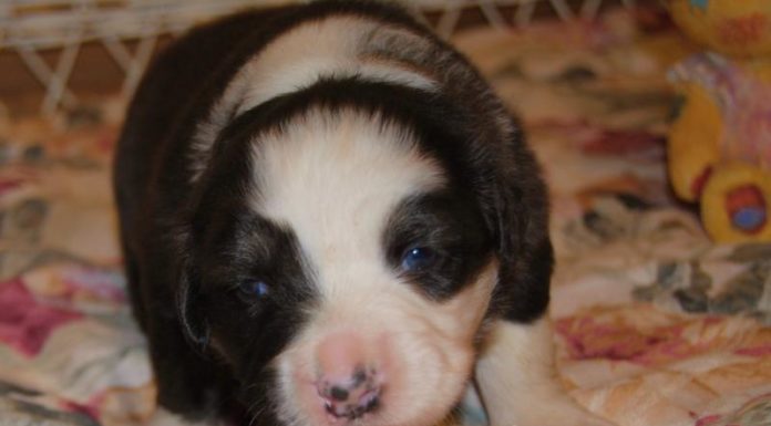 Is Moab busy in March? Is Moab busy in March?