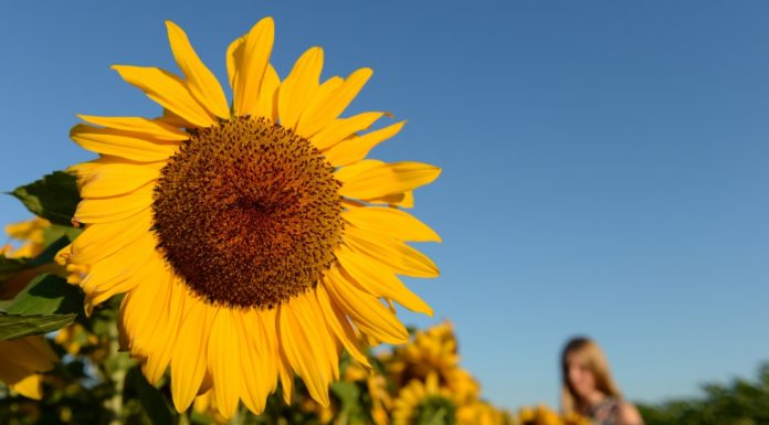 Is Moab warm in March? Is Moab warm in March?