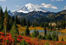 Is Mt Rainier worth seeing? Is Mt Rainier worth seeing?
