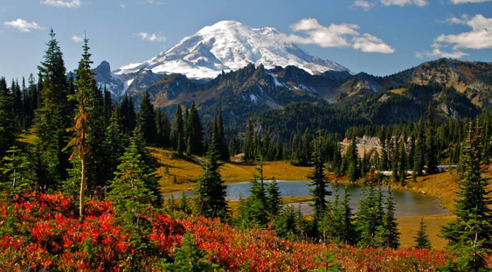 Is Mt Rainier worth seeing? Is Mt Rainier worth seeing?