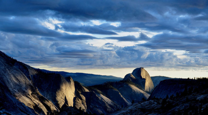 Is National Gallery opened? Is National Gallery opened?