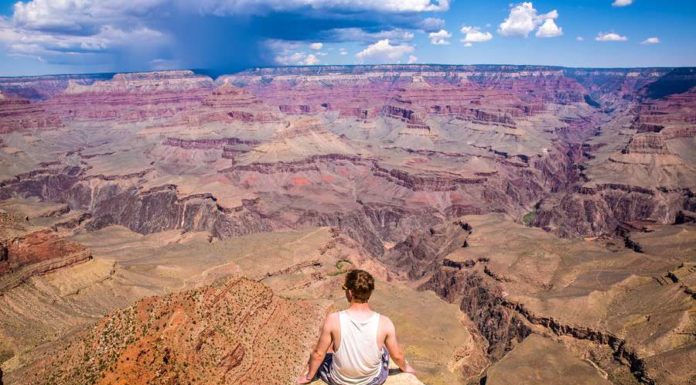 Is Palm Canyon trail open? Is Palm Canyon trail open?