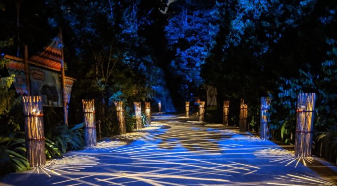 Is Rainforest Lumina part of Night Safari? Is Rainforest Lumina part of Night Safari?