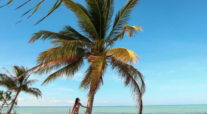 Is Rajasthan good for honeymoon? Is Rajasthan good for honeymoon?