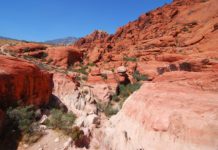 Is Red Rocks Visitor Center open? Is Red Rocks Visitor Center open?