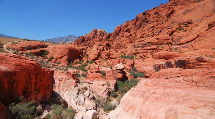 Is Red Rocks Visitor Center open? Is Red Rocks Visitor Center open?