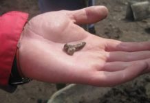 Is Rome good for honeymoon? Is Rome good for honeymoon?