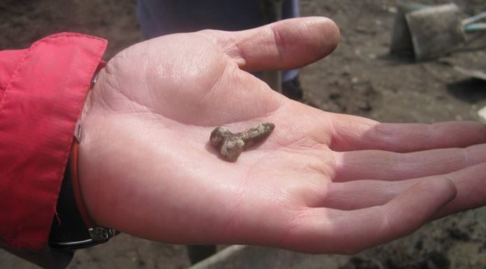 Is Rome good for honeymoon? Is Rome good for honeymoon?