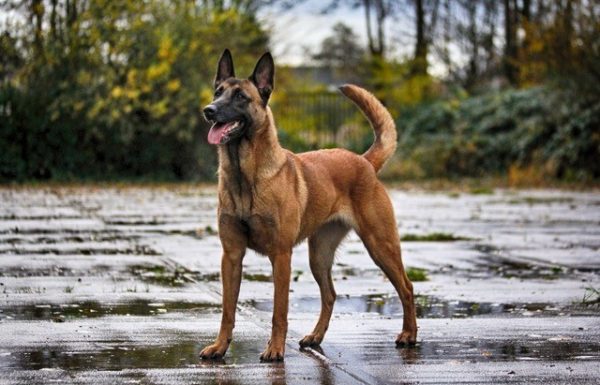 Is Salzburg better than Vienna? Is Salzburg better than Vienna?