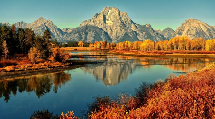 Is Sequoia National Park or forest? Is Sequoia National Park or forest?