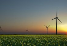 Is Serbia cheaper than India? Is Serbia cheaper than India?