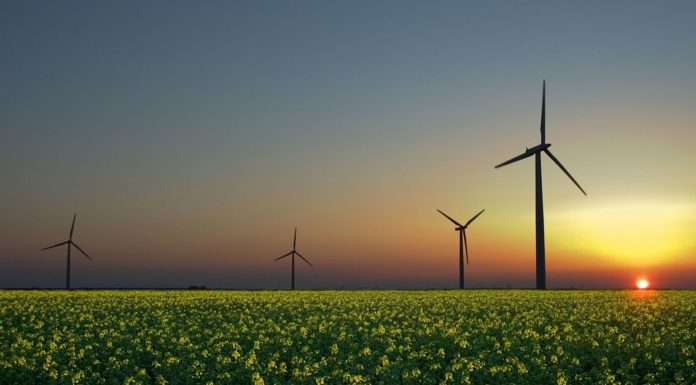 Is Serbia cheaper than India? Is Serbia cheaper than India?