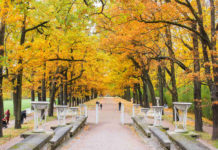 Is St. Petersburg a cool place to live? Is St. Petersburg a cool place to live?