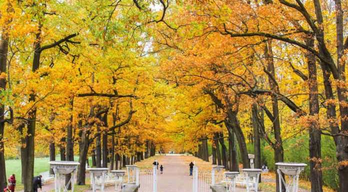 Is St. Petersburg a cool place to live? Is St. Petersburg a cool place to live?